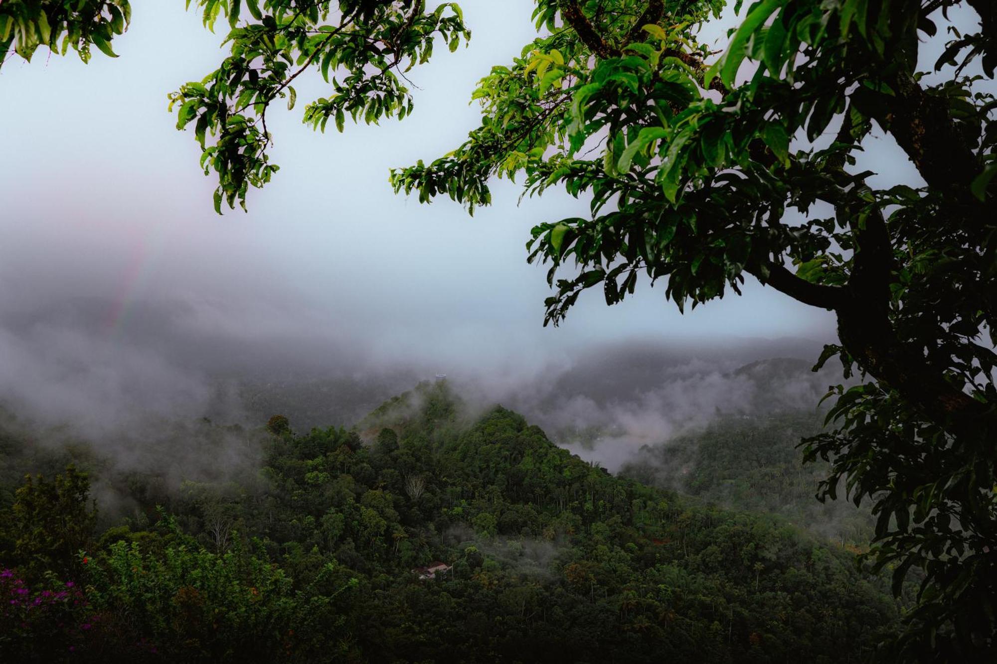 Haze And Kites Resort Munnar Zewnętrze zdjęcie