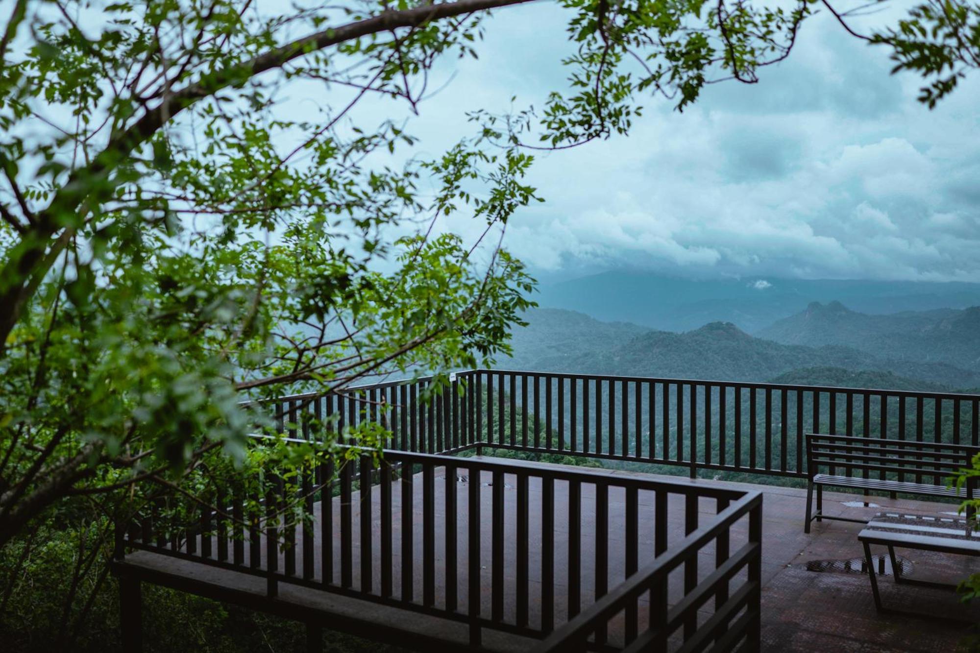 Haze And Kites Resort Munnar Zewnętrze zdjęcie