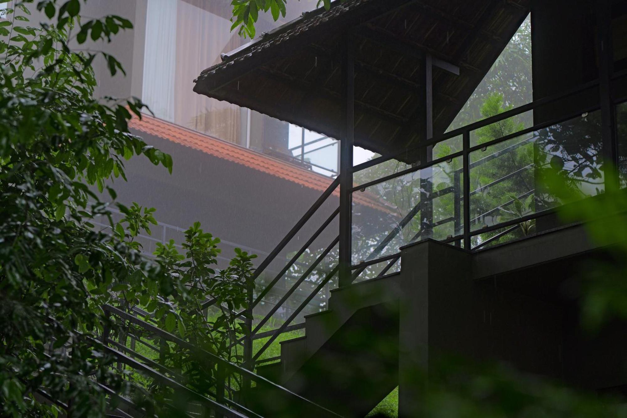 Haze And Kites Resort Munnar Zewnętrze zdjęcie