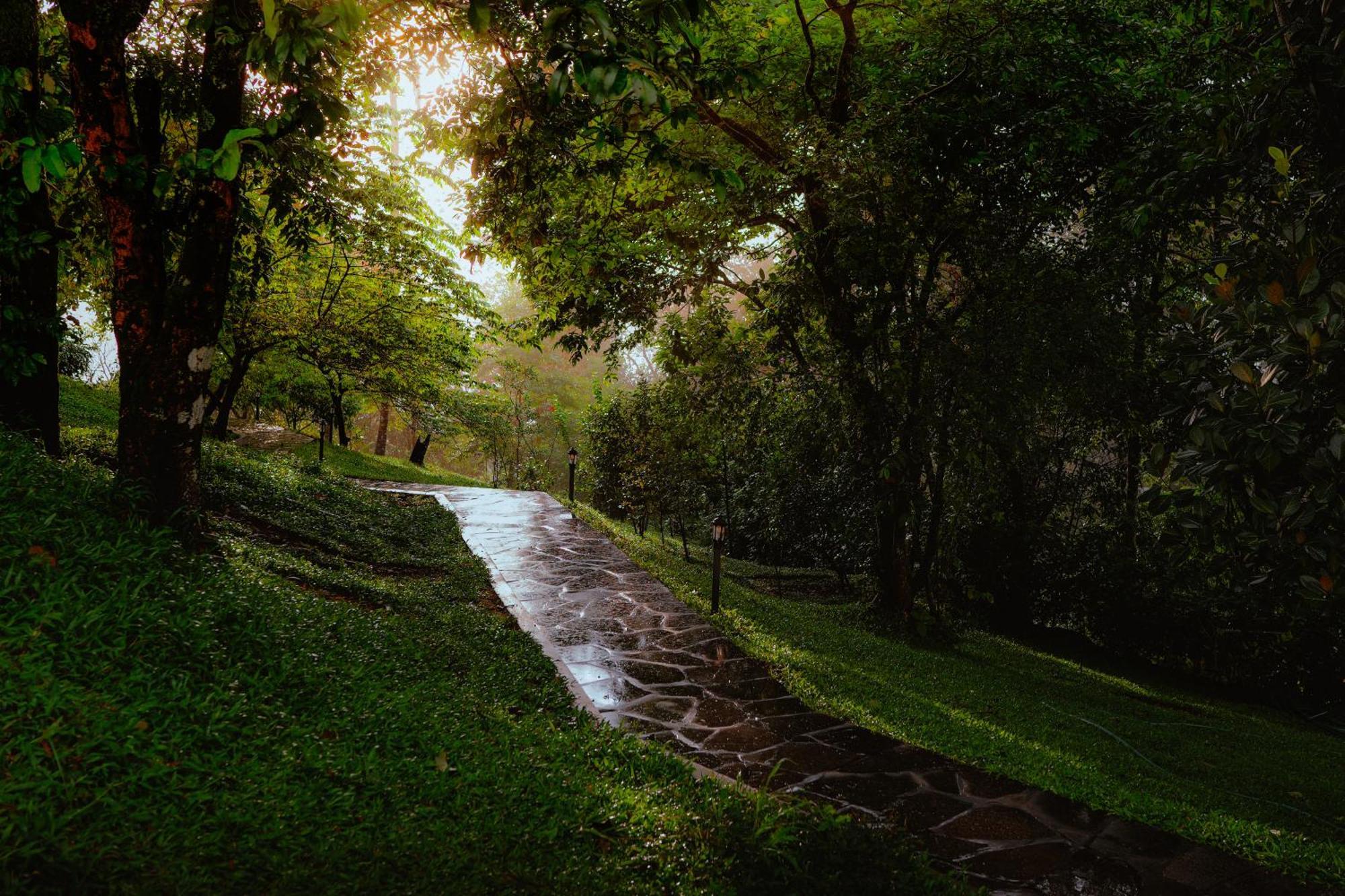 Haze And Kites Resort Munnar Zewnętrze zdjęcie